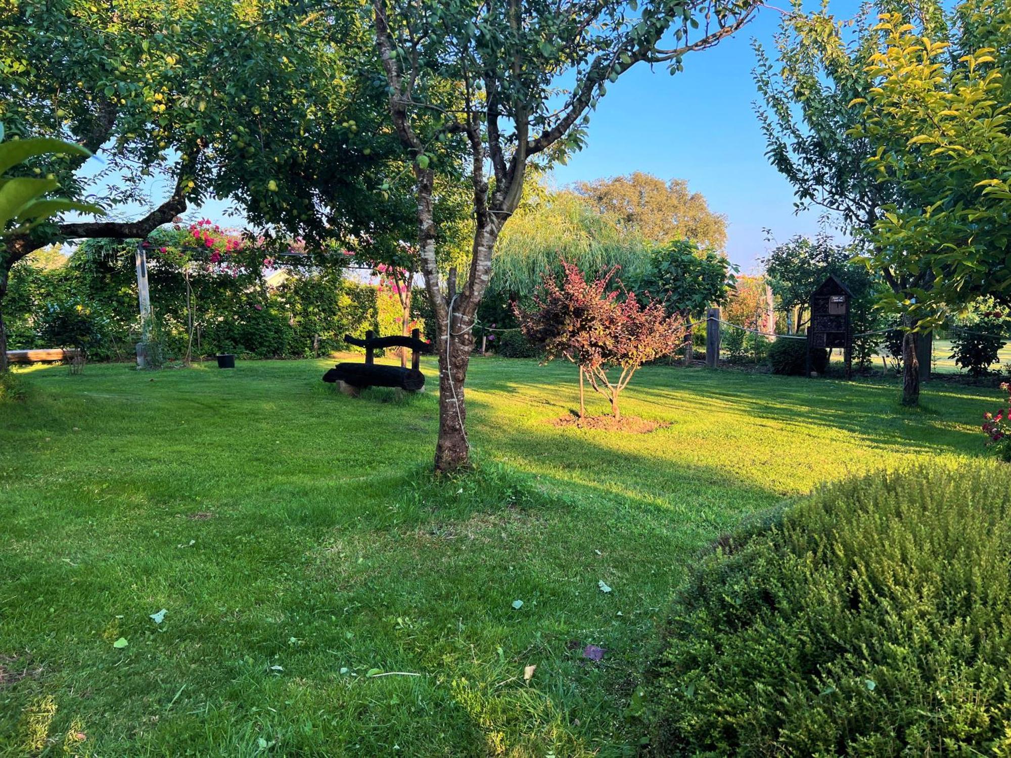 Villa Albaredo Villamea Экстерьер фото